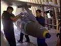 Israeli F-16 being rearmed Israeli F-16 being rearmed