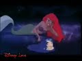 Part of your World Multi Mix