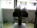 Catbook Movie: A Tail of two cats Catbook Movie: A Tail of two cats
