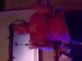 videos de my mom dancing on her own