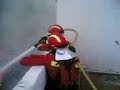 Salvando fataga UME