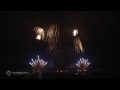 HD | 19. Internationalen Feuerwerkswettbewerb Hannover 2009, Surex Polen
