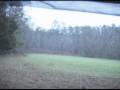COYOTE KILL WITH 300 WSM BROWNING BALLISTIC TIP, ONE SHOT!!!