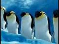 Pinguiton al estilo Happy