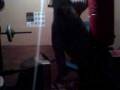 videos de V Dancing Reggaeton lol