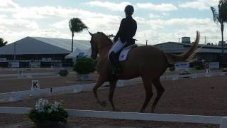 Eiren & Sammy make an impressive start