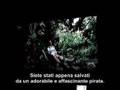 Lost_finale 