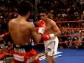 10 greatest boxers of the last decade RELOADED