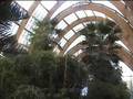 Biosphere  Lovebytes 2007 Sheffield Winter Garden