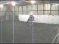 Slider in Round Pen.MPG