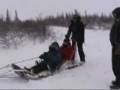 videos de Kenny & Amy Dog Sled Ride