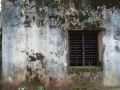 swantham cms.wmv