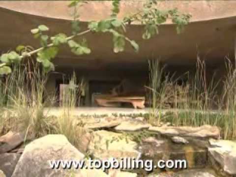 Top Billing | Earth Lodge | Eco Safari | Sabi Sabi Game Reserve