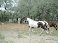 First Rain II.wmv