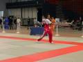 wushu sampler championnats de france 2006