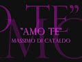 con il cuore (amo te) - massimo di cataldo