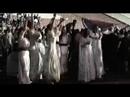 Бајага - Звезда