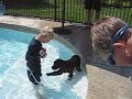 More George swimming