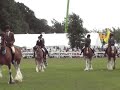 Ridden Clydesdales Ridden Clydesdales