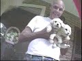 undercover look at puppy mills: investigation in virginia