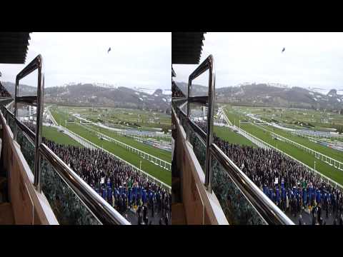 cheltenham races