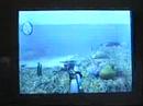 NeoLink611: Test Endless Ocean (Nauthy People)