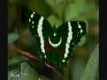 Asan Hun Tur Jana - Alam Lohar