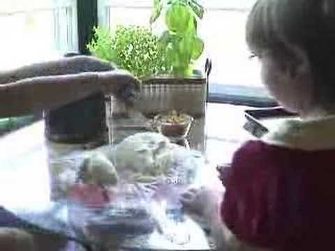 Baking Hefezopf ("Yeast Braid")