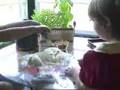 Baking Hefezopf (Yeast Braid)