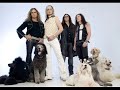 The Poodles - Band of brothers