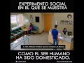 Experimento: programar al ser humano