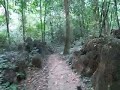 Running Inside a Forest in Vietnam