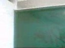 thrashed toilet