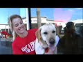 Highland Village Dog adoption