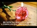 es un exito