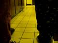 videos de 