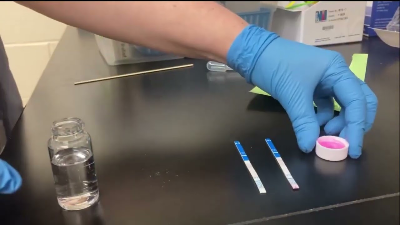 How To Use a Fentanyl Test Strip