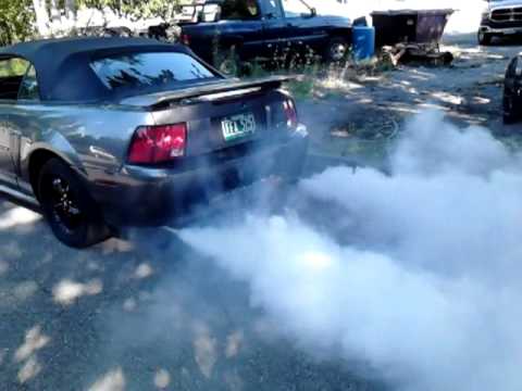 girls revving - Here she is again folks by popular demand Seafoaming and revving the Mustang... With 3 inch exhaust it was a lot of smoke... Thanks all my subscribers for wa...