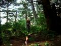 The Tiglax - Alaska Maritime National Wildlife ...