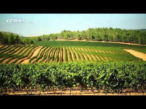 israel - Gordon Robertson looks at Israel's remarkable agricultural innovation, with special focus on the role of the kibbutz in Israel's agricultural success, growin...