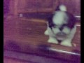 onni