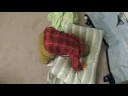Matthew loves his pillow