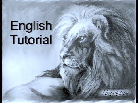 how to draw a lion