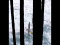 Paddle Surfer Laguna Beach Califronia scotman999 Paddle Surfer Laguna Beach Califronia scotman999