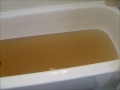 Burgeo Newfoundlandwhats with your water
