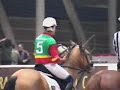 horseball