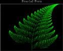 fern