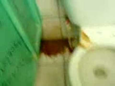 camaras baños de mujeres
