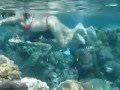 Drift Snorkel in Tahiti (Taha'a Island)