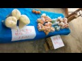 「稲荷山 八の市 朝市」の様子 長野県千曲市 平成28(2016)-09-28 picture